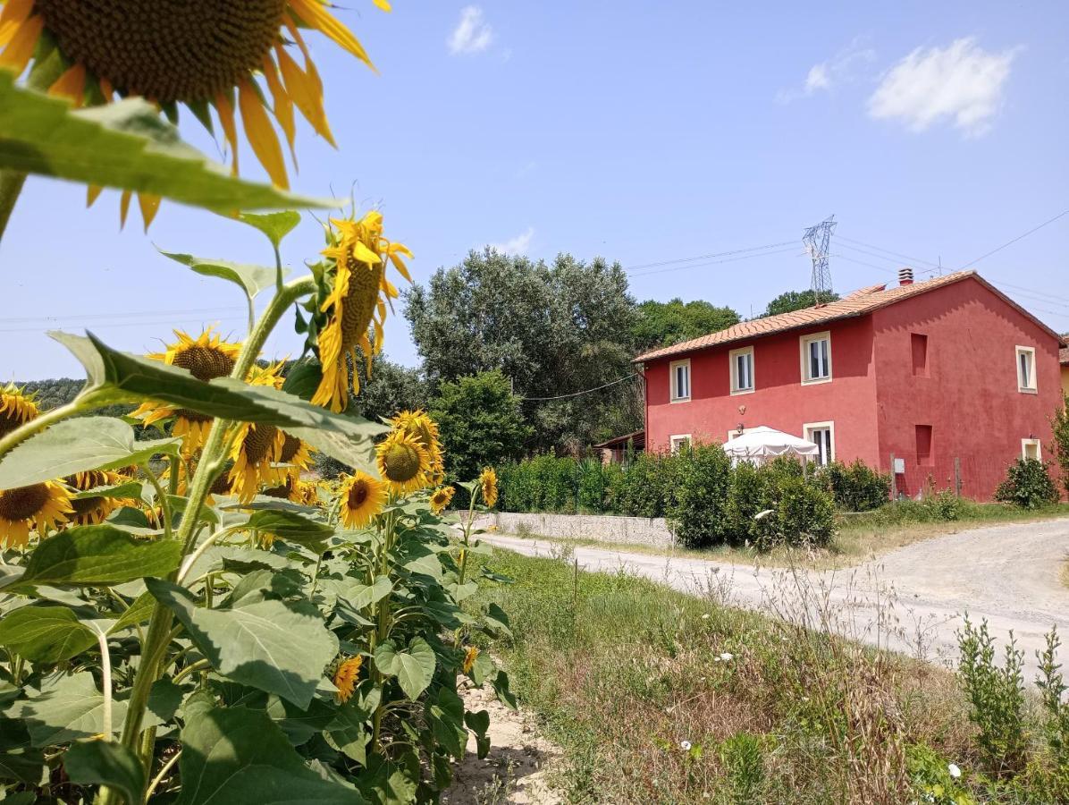 Bed and Breakfast La Casa Rossa Coiano Zewnętrze zdjęcie