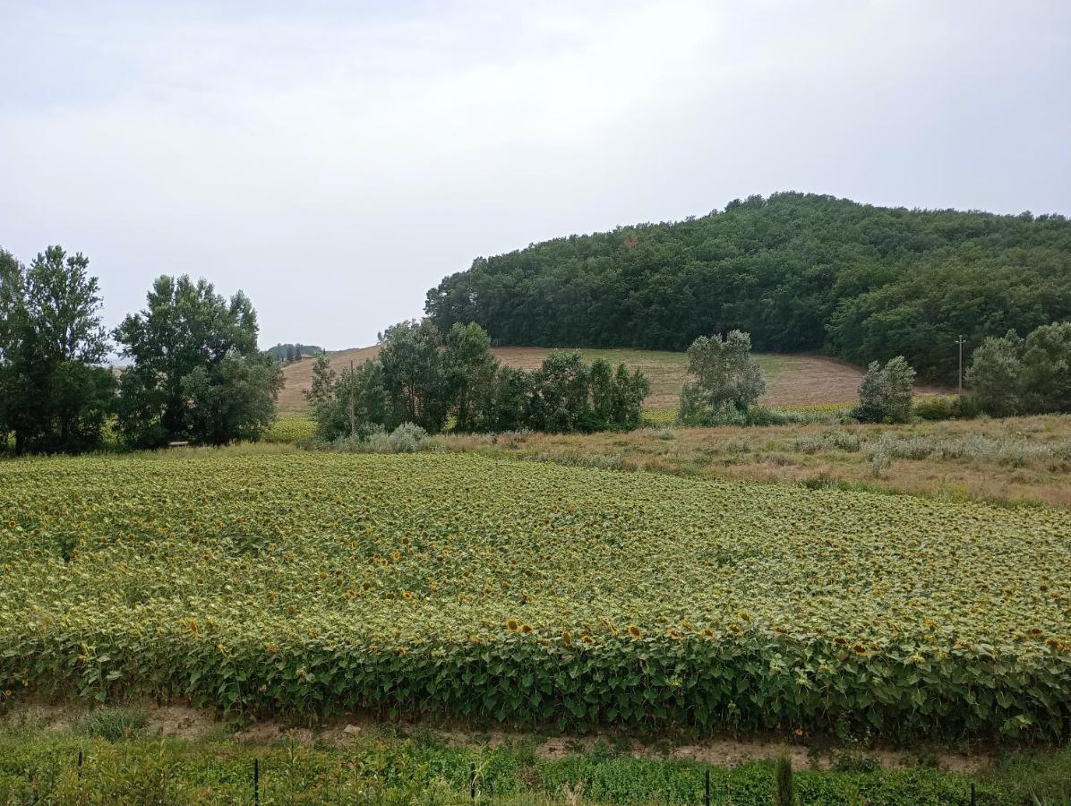 Bed and Breakfast La Casa Rossa Coiano Zewnętrze zdjęcie